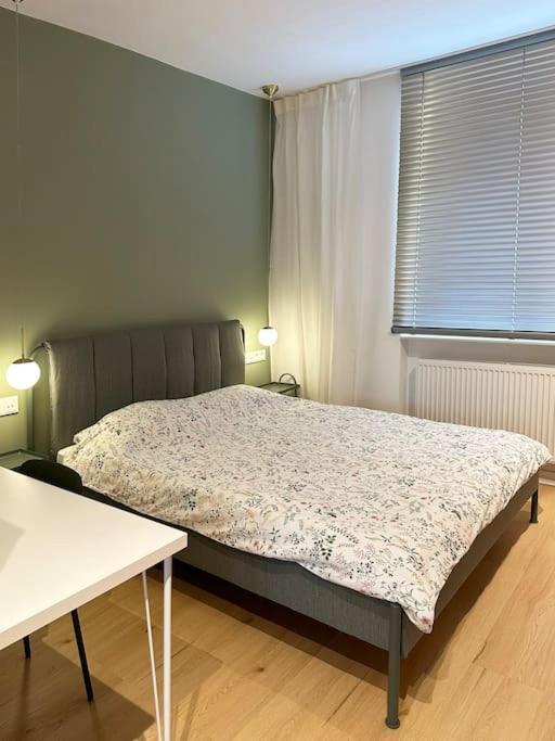 Inteligentne Przy Starym Rynku Apartment Познан Екстериор снимка